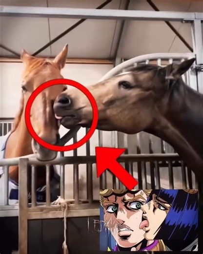 Open the path… Sticky fingers 🔥#jjba #jojobizzare #brunobucciarti #mangaedit #animefyp #edit