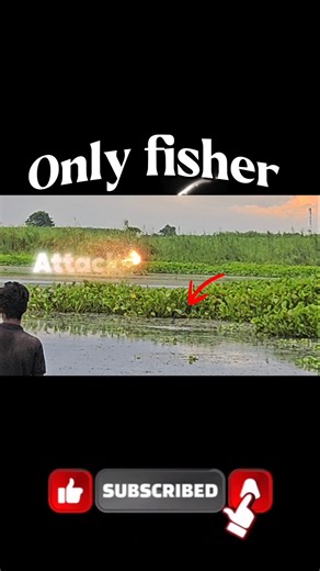 Snakehead Frog Lure Fishing Rod Review | Best Setup for #Only #attack #fishing #viral #shorts 🎣🐸😳