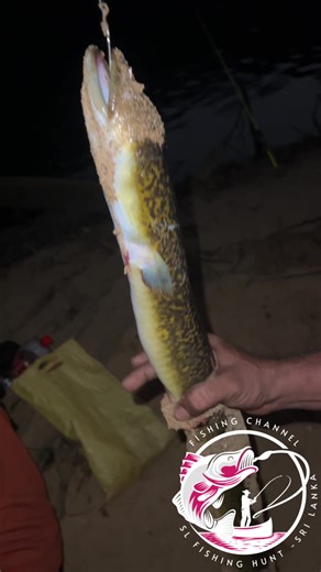 Fishing Techniques for Catching Anacondas in Rivers