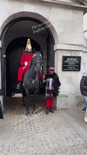 29K views · 459 reactions | London Horse Guard Showdown: When Regal...