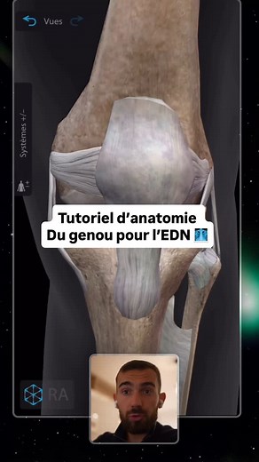 🔥 Commente “METHODE” pour recevoir découvrir la méthode Pyramide — une méthode révolutionnaire qui va littéralement transformer ta façon d’apprendre et t’aider à exploser ton classement à l’EDN. 📚 Commente “GO” pour tester gratuitement les fiches EDN Notion, mises à jour à chaque nouveau collège. 🏕️ Commente “PREPA” pour rejoindre le Refuge des Externes, ma prépa gratuite où je partage ma méthode, des ressources de radiologie … ✨ Et pour aller encore plus loin, le lien vers ma p