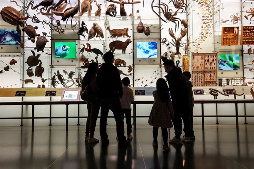 School term dates 2026: When is February Half Term in London?