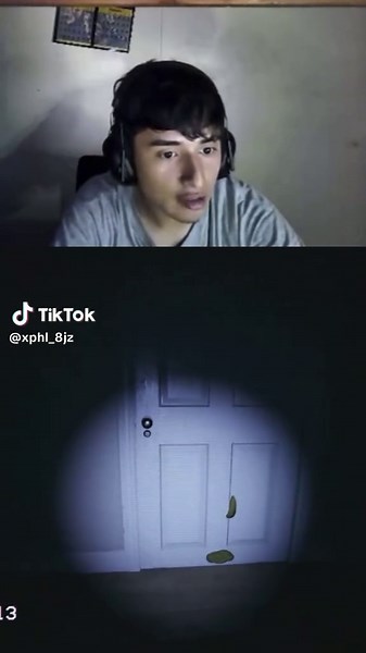 Bromas de Monos: Diversión y Sorpresas