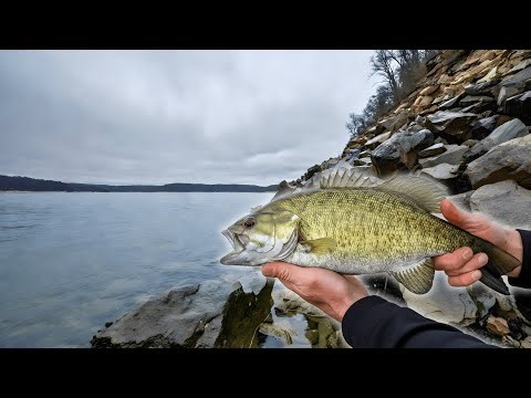 December’s Secret Trigger: The Pause Game That Turns Followers into Biters