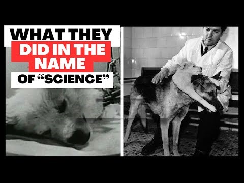 TOP 6 Most MACABRE Scientific Experiments Ever Conducted