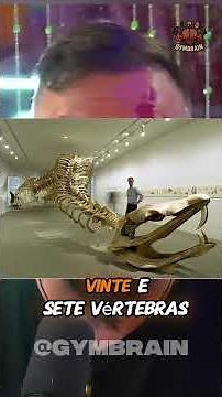 ESSA FOI A MAIOR COBRA QUE O MUNDO JÁ VIU #richardrasmussen #biologohenrique #cobra