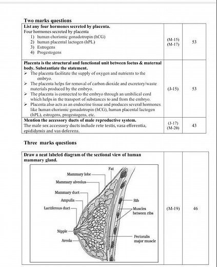 Human reproduction, important questions for board exam, class 12th