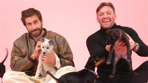 7.6K views · 22 reactions | Jake Gyllenhaal and Conor McGregor are in...
