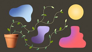 Resilience, community, and other lessons I’ve learned from my plants