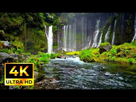 Waterfall flowing in forest Live wallpaper | 4k HD| Relaxing flowing water|White Noise for Sleep|