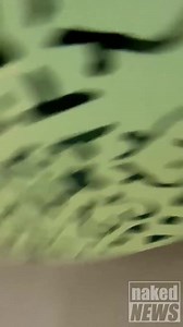 Eila adams butt hole