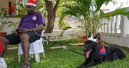 Lagos Dog Carnival returns for its 7th edition  | Africanews
