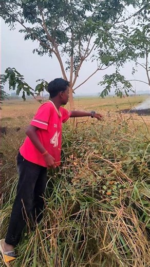 ye Kya hai 👉(26)//karna sahu vlogs// #viralvideo #minivlog