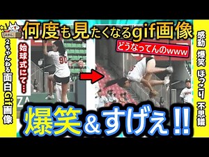 [2ch Funny GIF] Check out this collection of addictive funny GIFs lol [Comments included]