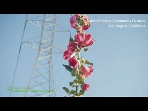 Tour of Stanford Avalon Community Gardens