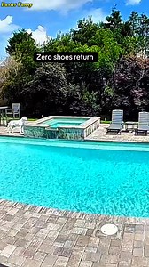 10K views · 372 reactions | CHECKING SECURITY CAMERAS TO FIND MY SHOE – LABRADOR LIFE Only a Labrador could make me check the security cameras just to find my missing shoe! | Buster Funny | Facebook