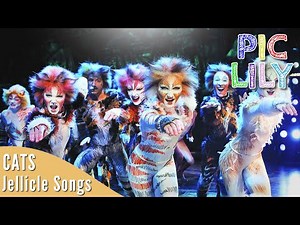 Learn English with Jellicle Songs | Cats by Andrew Lloyd Webber | Picture Lyrics and Subtitles