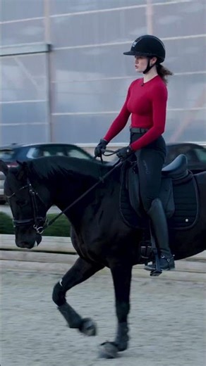 Entraînement d'un cheval de dressage