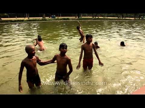 Beat the heat - take a dip
