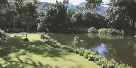 Kauai fishpond access protected forever with $1.3M community-led effort