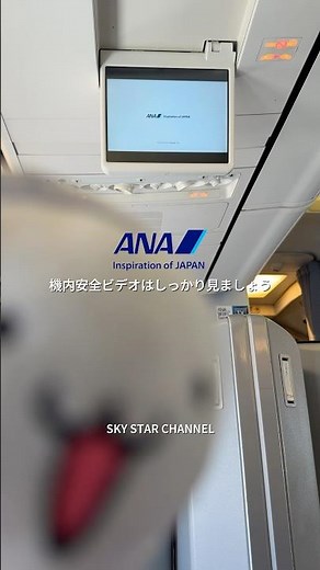機内安全ビデオはしっかり見ましょう✈️🌈⭐️ #allnipponairways #skystarchannel #aviation #そらっち