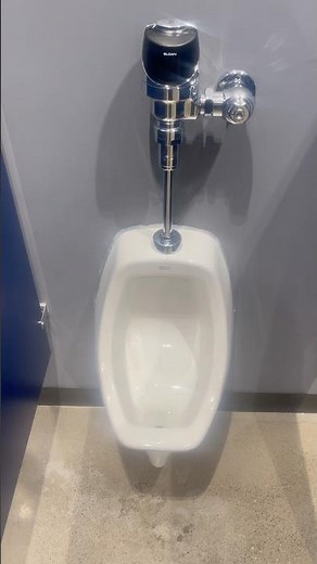 The American Standard Allbrook Urinal Flush