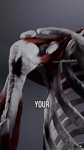 Banded rotator cuff drills alone are not enough. To get truly meaningful results, we often need to go a layer deeper ✅ | Conor Harris