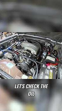 Amazing Car Find - Fluids Full & Engine Sounds Great!