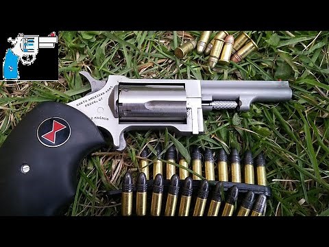 NAA sidewinder 22lr pistol