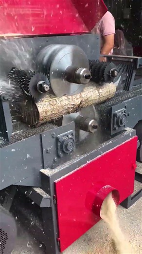 The Log Cutting Process: From Log to Boards in One Pass