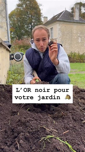 13K views · 678 reactions | Le fumier de cheval, c’est une véritable...