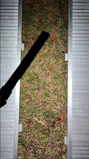 trailer loading ramp solved