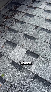 8.4K views · 21 reactions | How to Spot a Bad Bat Problem FAST! #bats #infestation #bat #pestcontrol | Pest Badger | Facebook