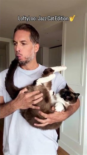 Guy Plays His Cat Like a Saxophone 😹🎷 | Careless Whisper x LoftyLoo #loftyloo #shorts #funny #cat