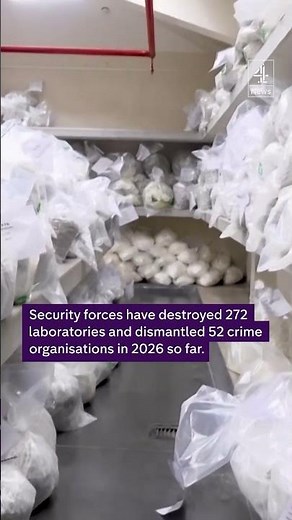 Peru destroys 11 tons of illegal drugs
