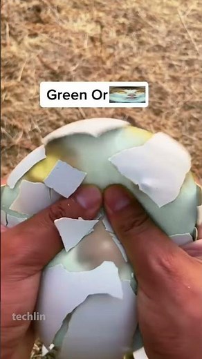 monday left me broken