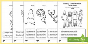 Five Key Words Reading Comprehension Worksheets Set 2