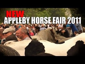 Gypsy Cob & Vanner Appleby Horse Fair 2011