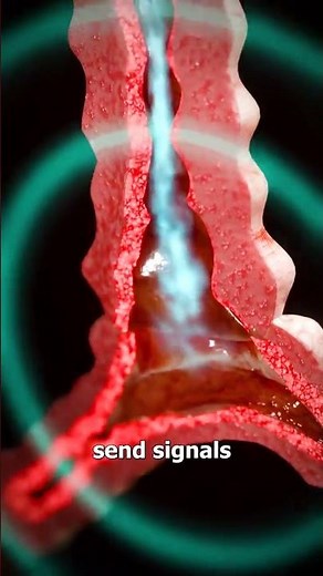 How to Use an Inhaler Correctly | Inhaler Use Process Explained 💨 | Agni Pharma