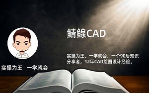 CAD中移动操作命令视频教程