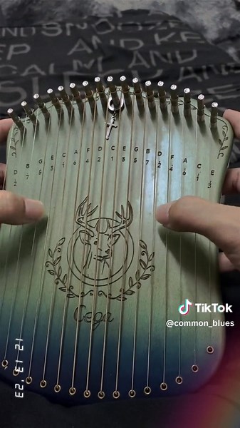 พรหมลิขิต 🌾🪷 #kalimba #harpika #lryeharp #พรหมลิขิต #บุพเพสันนิวาส