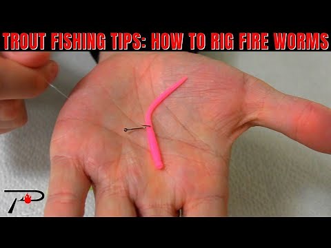 Trout Fishing Tips: How To Rig Fire Worms