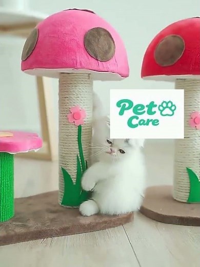 eco friendly cat scratch pad l shape durable corrugated cat scratcher for large cats