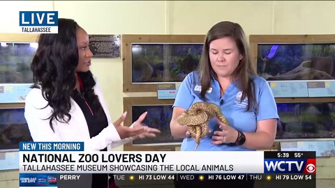National Zoo Lovers Day: Rescuing wildlife and rewriting their stories at Tallahassee Museum