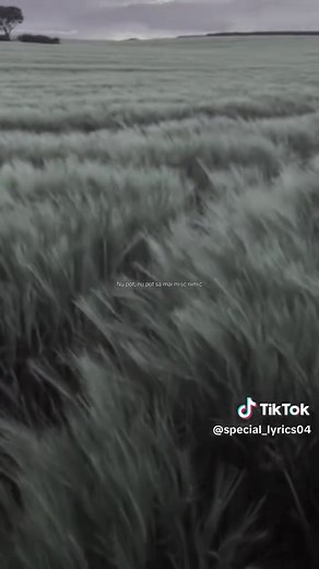 #romania #fyypppppppppppppppppp #fypage #romania🇷🇴 #melodii #fyypppppppppppppppppp #romania #fy