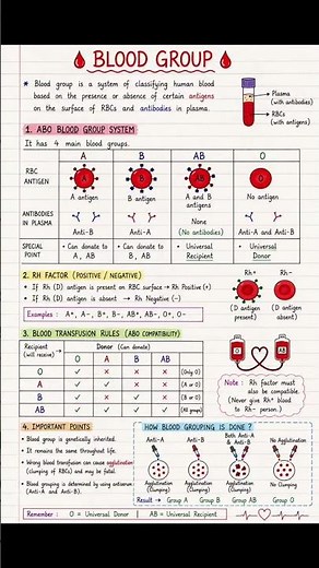 Blood Groups Explained Simply | ABO & Rh System #bloodgroup #blood #bloodgroups #nursingstudent #ns