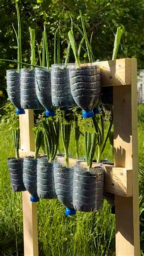 Plastic Bottle DIY Vertical Garden Idea 🌱 | Magic Hands Creations