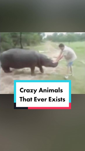 10 Unbelievable Animals You Won't Believe Actually Exist