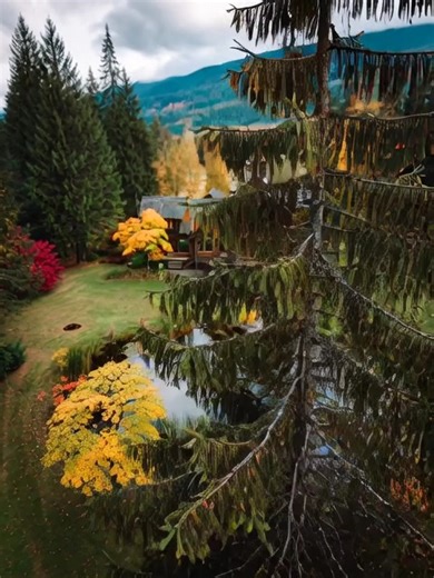 16K views · 722 reactions | Absolutely gorgeous ❤️ | Rustic Retreat Cabins | Facebook