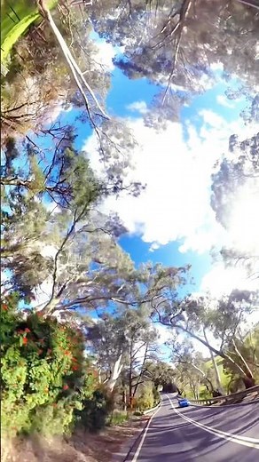 This Road in South Australia Looks Unreal in 360° 🌳